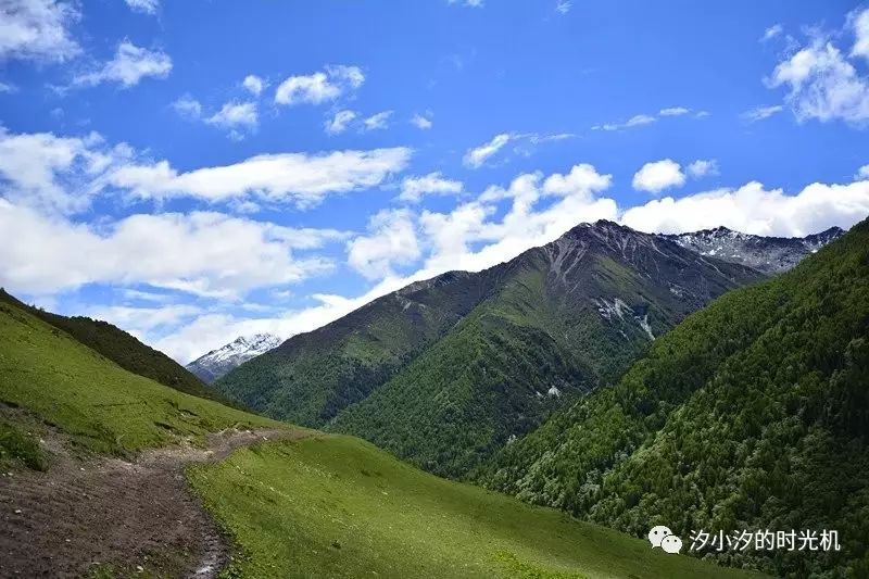 西双版纳旅游度假酒店_西双版纳旅游攻略艺龙_西双版纳超文艺小众旅游攻略