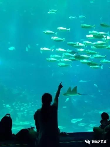 圣淘沙旅游攻略-圣淘沙有什么好玩的地方(图18) 圣淘沙有什么好玩的地方_圣淘沙旅游攻略_圣淘沙一日游攻略