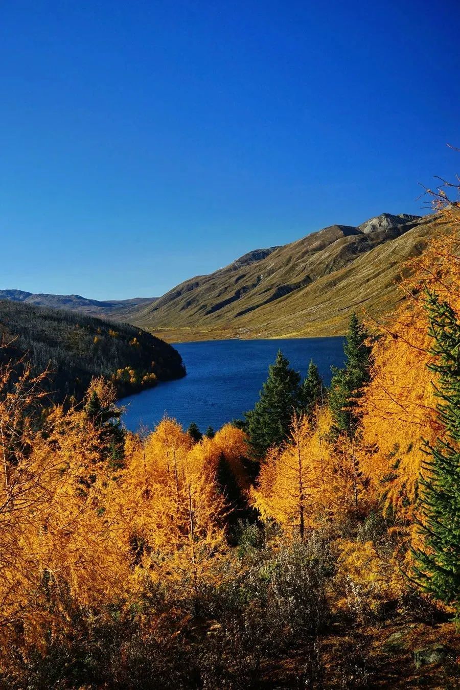 成都到理县旅游攻略-成都到理县三日自驾游攻略(图2) 成都到理县三日自驾游攻略_成都到理县旅游攻略_成都至理县游玩线路