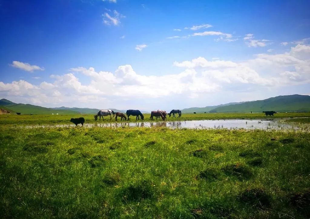 成都到理县旅游攻略-成都到理县三日自驾游攻略(图33) 成都到理县旅游攻略_成都到理县三日自驾游攻略_成都至理县游玩线路