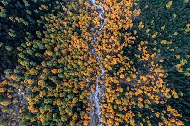 成都到理县旅游攻略-成都到理县三日自驾游攻略(图38) 成都到理县三日自驾游攻略_成都至理县游玩线路_成都到理县旅游攻略