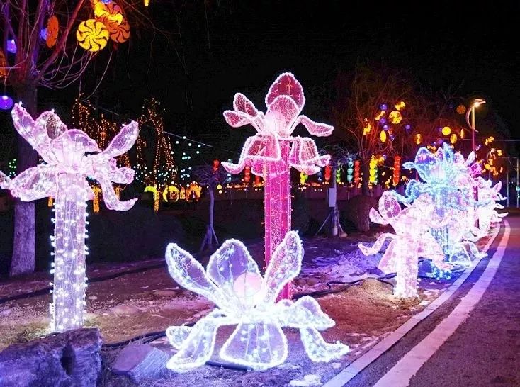 衡水湖旅游攻略-衡水湖旅游景点(图17) 衡水湖旅游景点_衡水湖旅游攻略_衡水湖游玩攻略