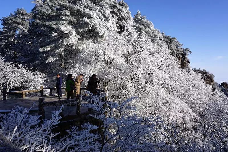 黄山冬季旅游攻略_黄山冬季攻略旅游路线图_黄山冬季攻略旅游景点