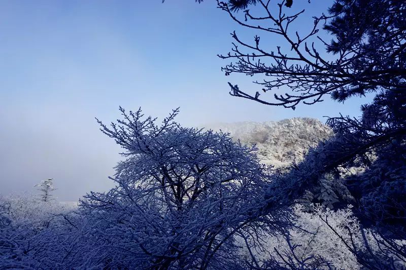 黄山冬季攻略旅游景点_黄山冬季攻略旅游路线图_黄山冬季旅游攻略