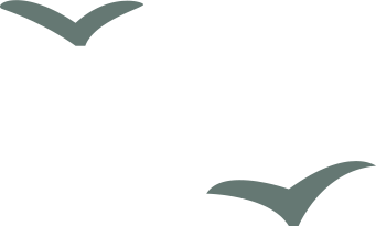 九仙山旅游攻略-仙山景区在哪里(图3) 攻略仙山旅游的地方_九仙山旅游攻略_仙山景区在哪里