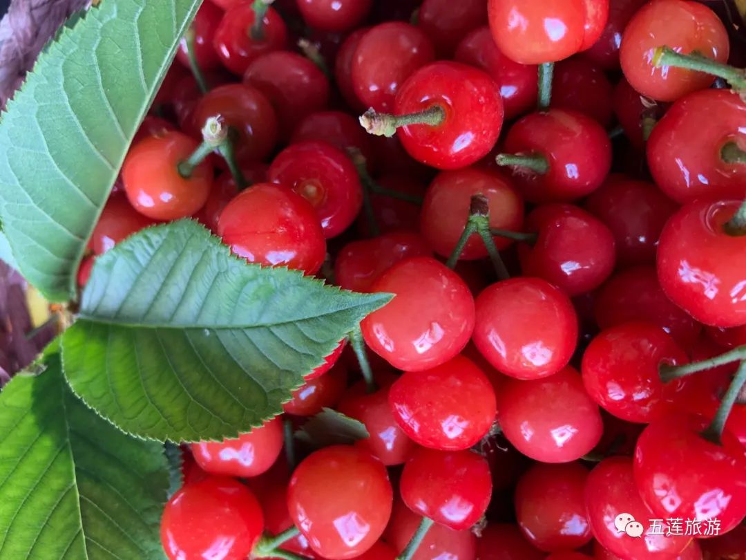 九仙山旅游攻略-仙山景区在哪里(图34) 攻略仙山旅游的地方_仙山景区在哪里_九仙山旅游攻略