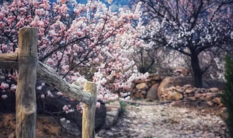 九仙山旅游攻略-仙山景区在哪里(图5) 九仙山旅游攻略_仙山景区在哪里_攻略仙山旅游的地方