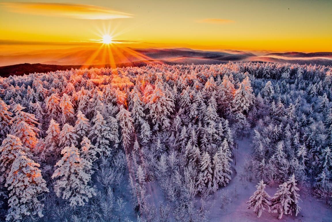 大庆到伊春旅游攻略-大庆到伊春三日游攻略(图14) 大庆到伊春三日游攻略_大庆去伊春旅游报价_大庆到伊春旅游攻略