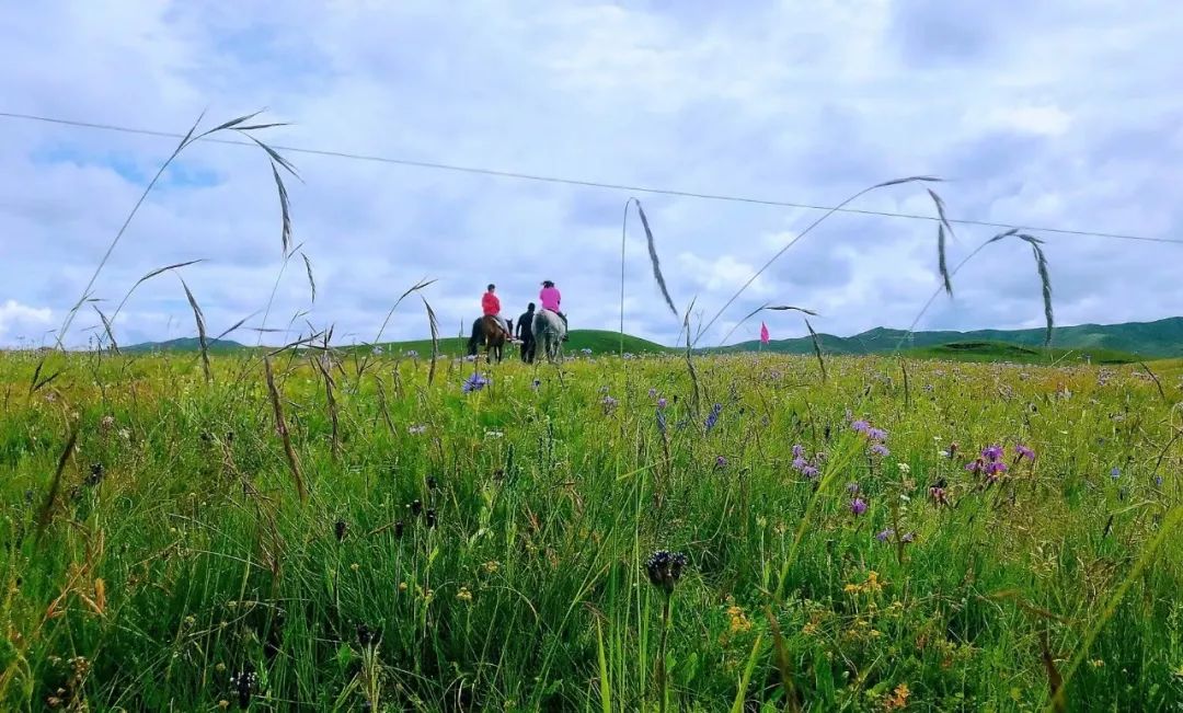 兰州至夏河路上有景点_兰州 夏河 旅游攻略_兰州夏河海拔多少米