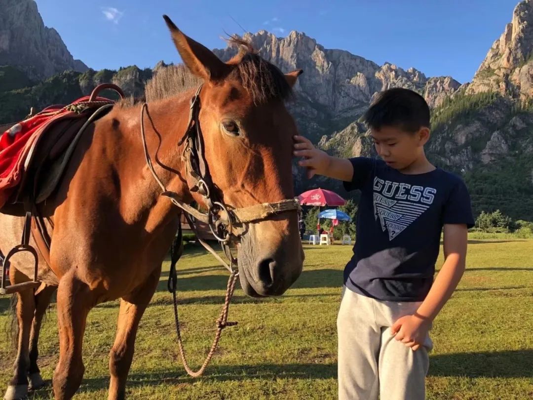 兰州至夏河路上有景点_兰州夏河海拔多少米_兰州 夏河 旅游攻略