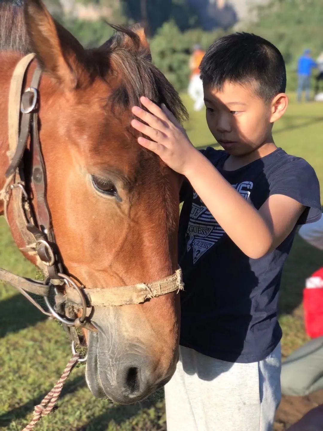 兰州 夏河 旅游攻略_兰州至夏河路上有景点_兰州夏河海拔多少米