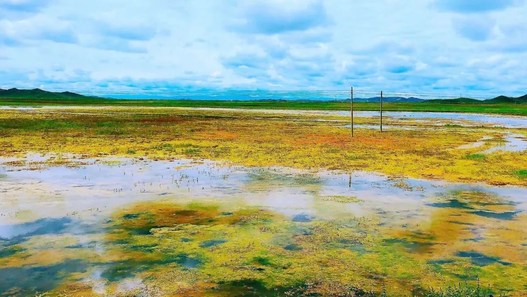 兰州至夏河路上有景点_兰州夏河海拔多少米_兰州 夏河 旅游攻略