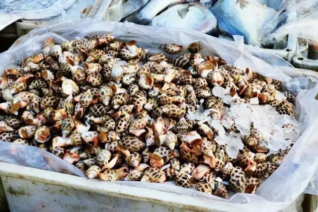 九仙山旅游攻略-仙山圣地是哪里(图35) 仙山圣地是哪里_仙山景区在哪里_九仙山旅游攻略