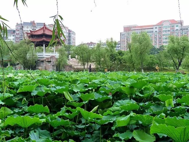 九仙山旅游攻略-仙山圣地是哪里(图5) 九仙山旅游攻略_仙山圣地是哪里_仙山景区在哪里