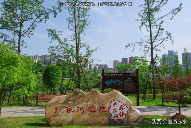 赤水天台镇_赤水天台山旅游攻略_赤水天台山海拔高度