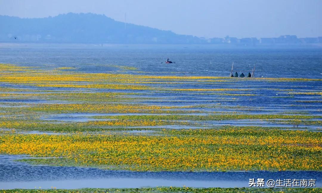 江宁黄龙岘旅游攻略_江宁黄龙岘旅游攻略_江宁黄龙岘旅游攻略
