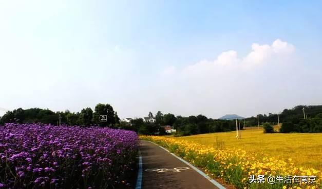 江宁黄龙岘旅游攻略_江宁黄龙岘旅游攻略_江宁黄龙岘旅游攻略