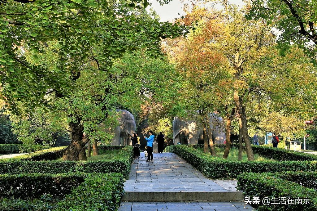 江宁黄龙岘旅游攻略_江宁黄龙岘旅游攻略_江宁黄龙岘旅游攻略