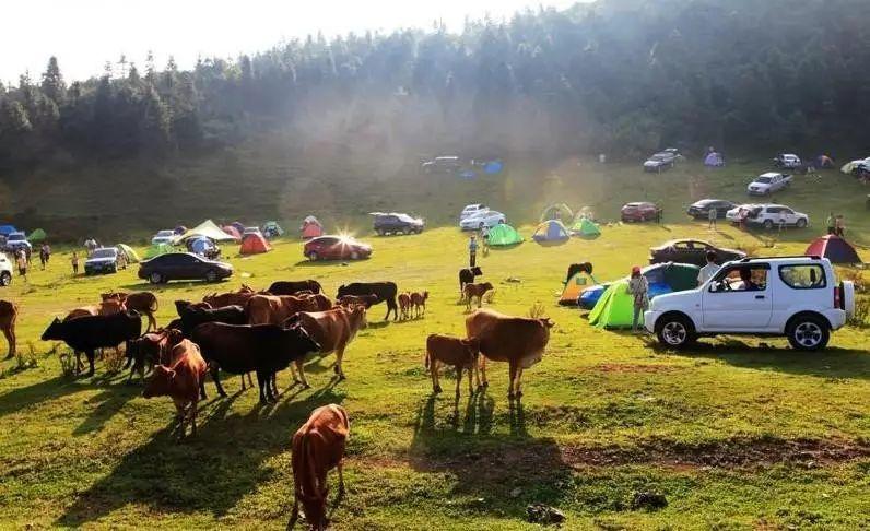 贵州赤水天台_赤水天台山海拔高度_赤水天台山旅游攻略