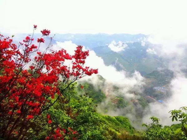 贵州赤水天台_赤水天台山海拔高度_赤水天台山旅游攻略