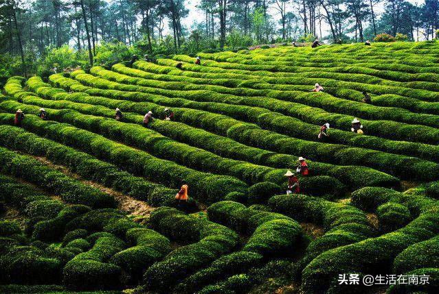 江宁黄龙岘旅游攻略_江宁黄龙岘旅游攻略_江宁黄龙岘旅游攻略