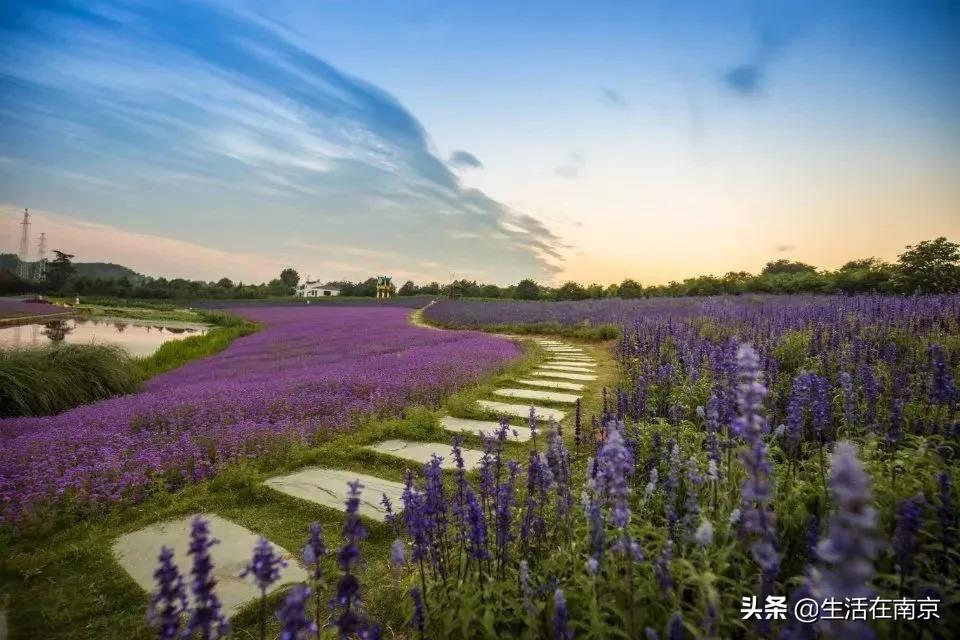 江宁黄龙岘旅游攻略_江宁黄龙岘旅游攻略_江宁黄龙岘旅游攻略