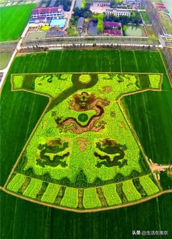 江宁黄龙岘旅游攻略_江宁黄龙岘旅游攻略_江宁黄龙岘旅游攻略