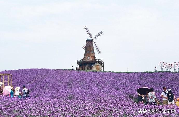 江宁黄龙岘旅游攻略_江宁黄龙岘旅游攻略_江宁黄龙岘旅游攻略