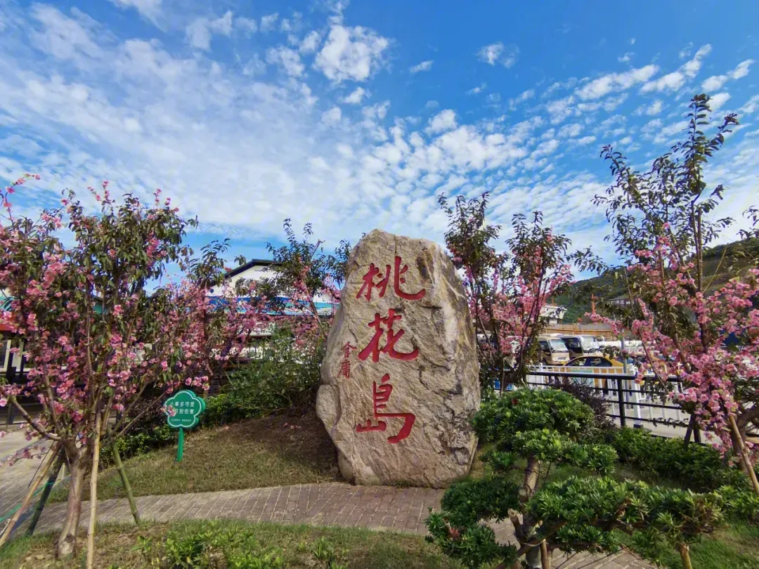 宁波到枸杞岛旅游攻略-宁波怎么枸杞岛(图22) 宁波到枸杞岛旅游攻略_宁波枸杞岛图片大全_宁波怎么枸杞岛