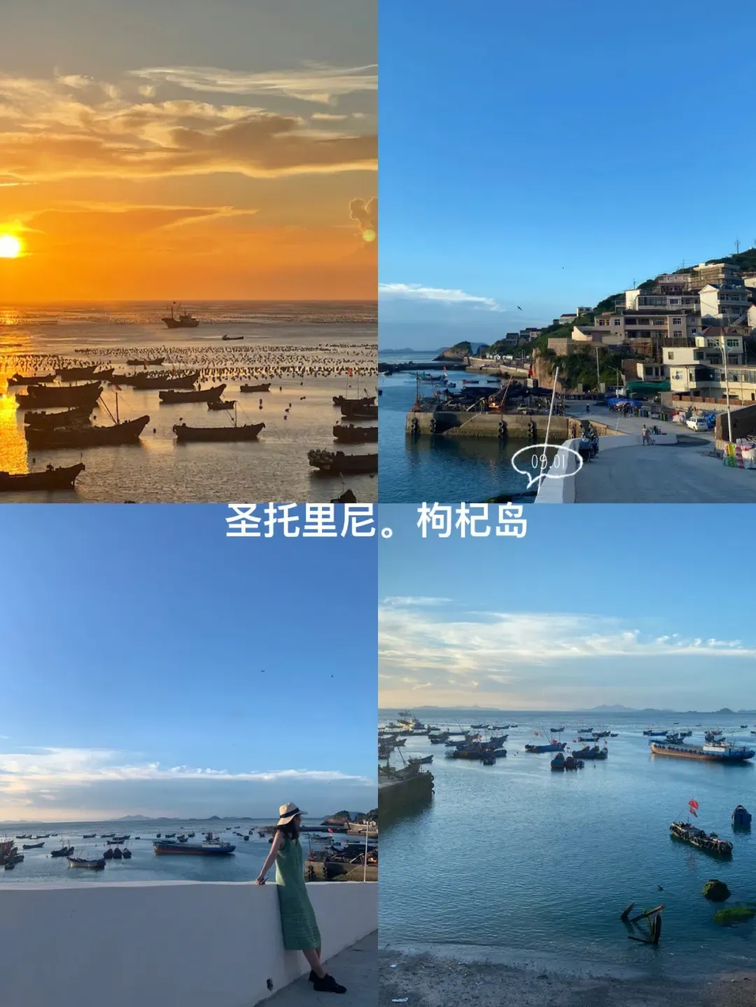 宁波到枸杞岛旅游攻略-宁波怎么枸杞岛(图29) 宁波到枸杞岛旅游攻略_宁波枸杞岛图片大全_宁波怎么枸杞岛