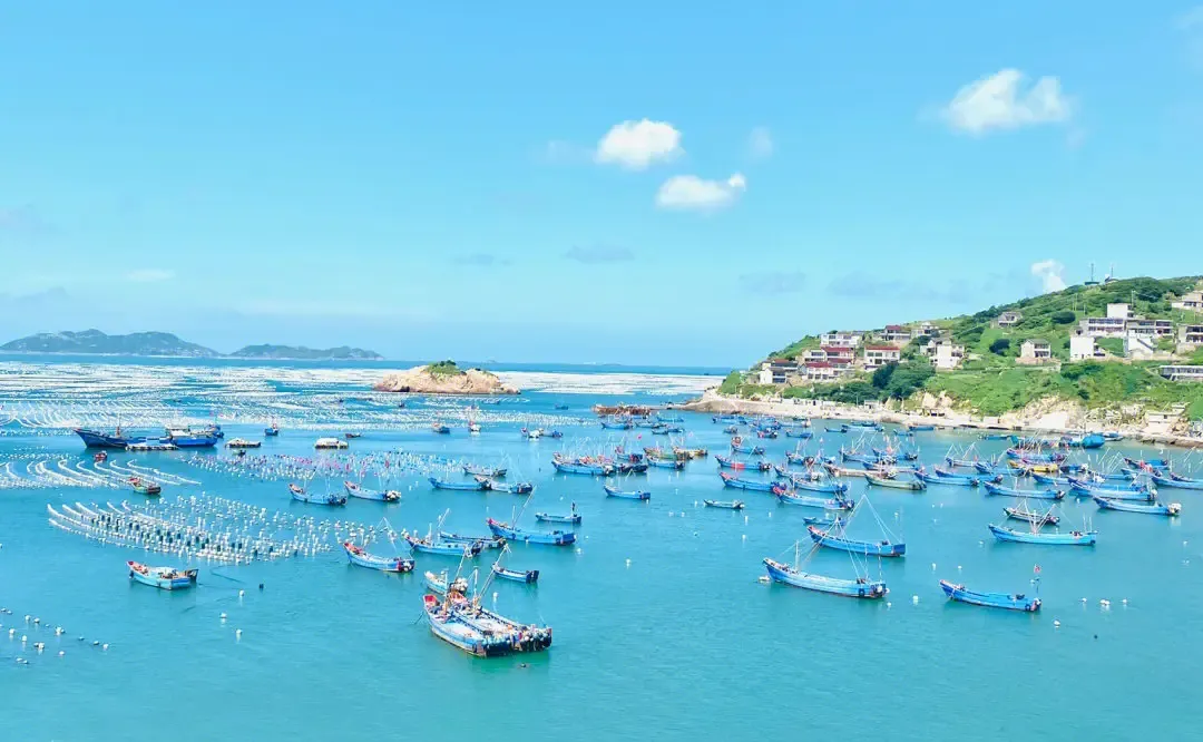 宁波到枸杞岛旅游攻略-宁波怎么枸杞岛(图30) 宁波到枸杞岛旅游攻略_宁波怎么枸杞岛_宁波枸杞岛图片大全