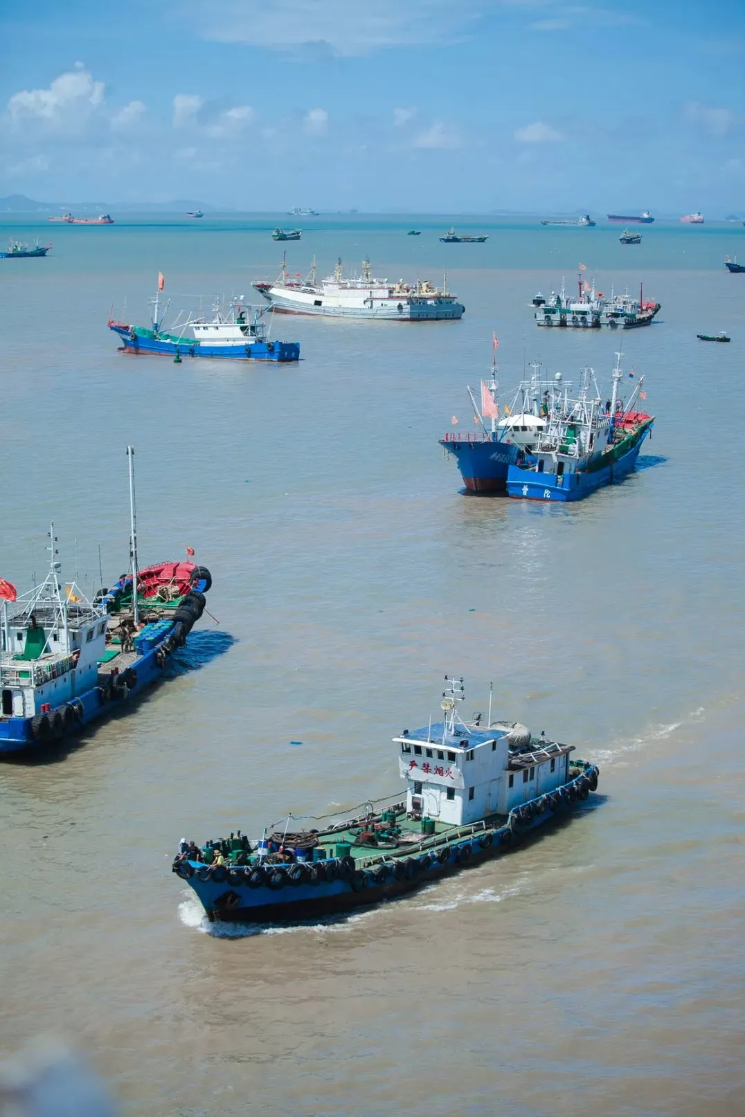 宁波到枸杞岛旅游攻略-宁波怎么枸杞岛(图42) 宁波怎么枸杞岛_宁波到枸杞岛旅游攻略_宁波枸杞岛图片大全