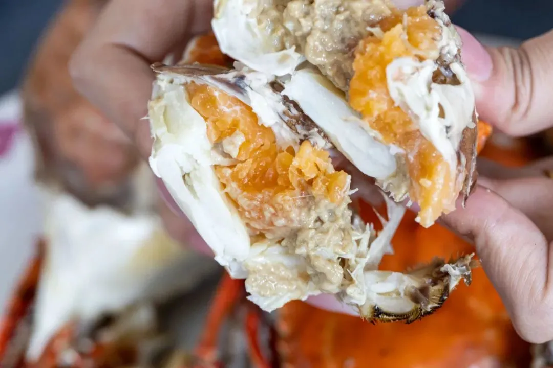 宁波到枸杞岛旅游攻略-宁波怎么枸杞岛(图57) 宁波枸杞岛图片大全_宁波怎么枸杞岛_宁波到枸杞岛旅游攻略