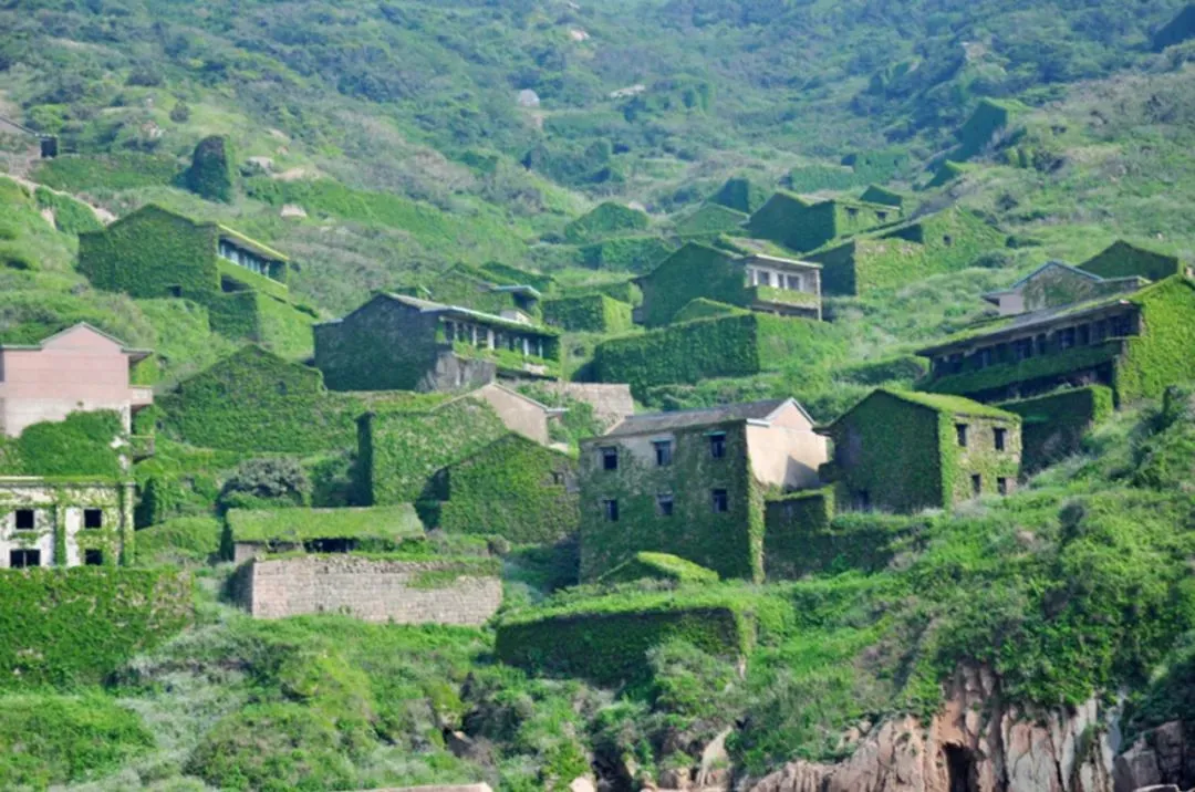 宁波到枸杞岛旅游攻略-宁波怎么枸杞岛(图85) 宁波怎么枸杞岛_宁波到枸杞岛旅游攻略_宁波枸杞岛图片大全