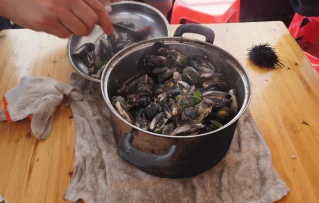 宁波到枸杞岛旅游攻略-宁波怎么枸杞岛(图86) 宁波怎么枸杞岛_宁波枸杞岛图片大全_宁波到枸杞岛旅游攻略