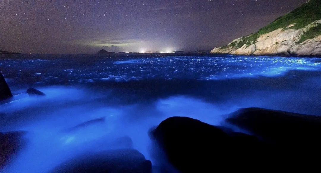 宁波到枸杞岛旅游攻略-宁波怎么枸杞岛(图89) 宁波怎么枸杞岛_宁波到枸杞岛旅游攻略_宁波枸杞岛图片大全