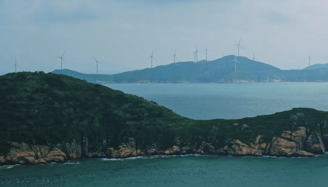 宁波到枸杞岛旅游攻略-宁波怎么枸杞岛(图90) 宁波到枸杞岛旅游攻略_宁波枸杞岛图片大全_宁波怎么枸杞岛