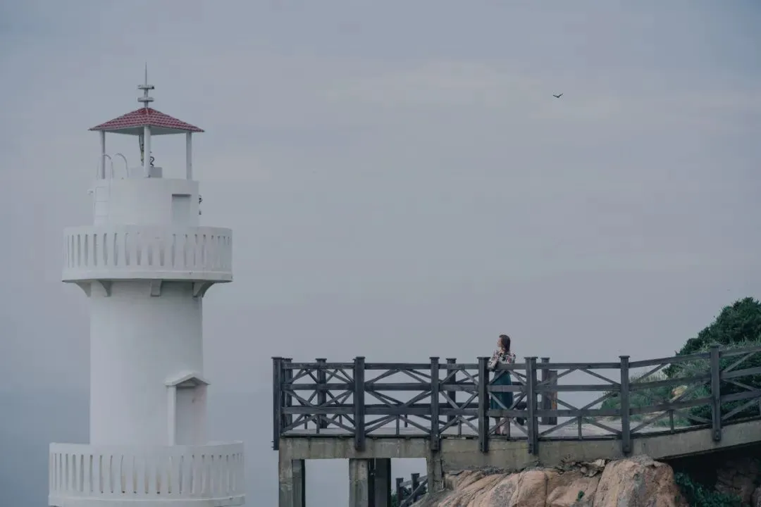 宁波到枸杞岛旅游攻略-宁波怎么枸杞岛(图91) 宁波怎么枸杞岛_宁波到枸杞岛旅游攻略_宁波枸杞岛图片大全