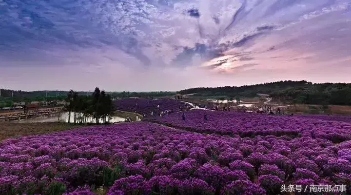江宁黄龙岘旅游攻略_江宁黄龙岘旅游攻略_江宁黄龙岘旅游攻略