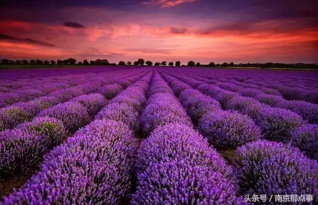 江宁黄龙岘旅游攻略_江宁黄龙岘旅游攻略_江宁黄龙岘旅游攻略