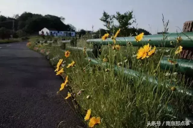 江宁黄龙岘旅游攻略_江宁黄龙岘旅游攻略_江宁黄龙岘旅游攻略