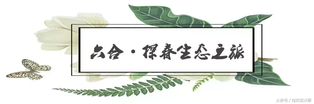 江宁黄龙岘旅游攻略_江宁黄龙岘旅游攻略_江宁黄龙岘旅游攻略