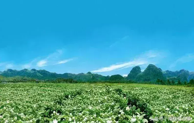 江宁黄龙岘旅游攻略_江宁黄龙岘旅游攻略_江宁黄龙岘旅游攻略