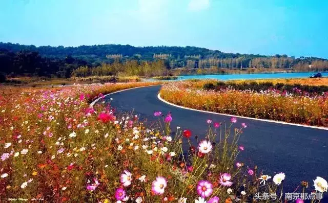 江宁黄龙岘旅游攻略_江宁黄龙岘旅游攻略_江宁黄龙岘旅游攻略