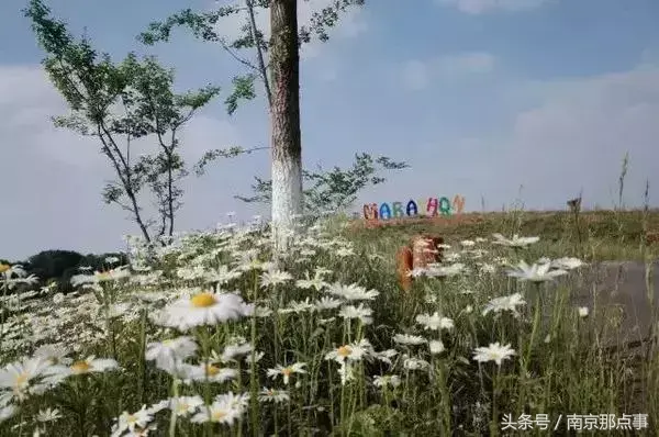 江宁黄龙岘旅游攻略_江宁黄龙岘旅游攻略_江宁黄龙岘旅游攻略