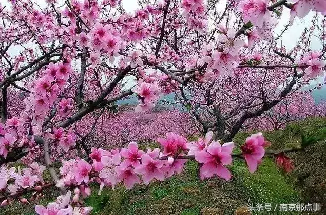 江宁黄龙岘旅游攻略_江宁黄龙岘旅游攻略_江宁黄龙岘旅游攻略