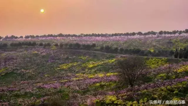 江宁黄龙岘旅游攻略_江宁黄龙岘旅游攻略_江宁黄龙岘旅游攻略