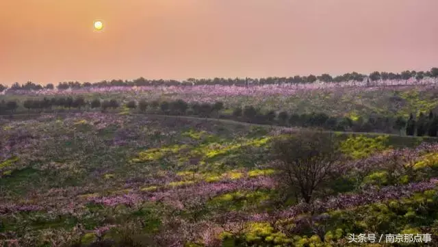 江宁黄龙岘旅游攻略_江宁黄龙岘旅游攻略_江宁黄龙岘旅游攻略