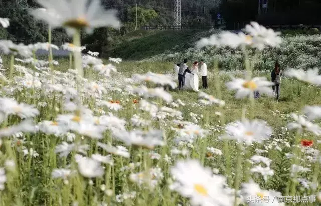 江宁黄龙岘旅游攻略_江宁黄龙岘旅游攻略_江宁黄龙岘旅游攻略