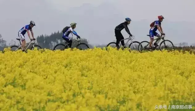 江宁黄龙岘旅游攻略_江宁黄龙岘旅游攻略_江宁黄龙岘旅游攻略